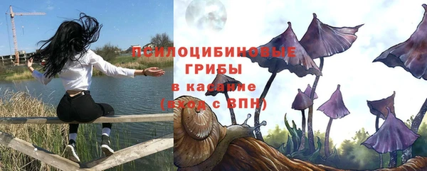 наркотики Белокуриха